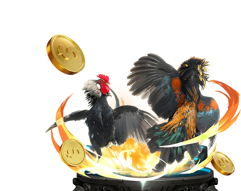 Đa dạng các loại hình đá gà