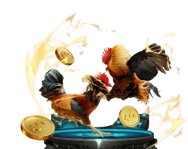 Ưu đãi hàng ngày và hàng tuần